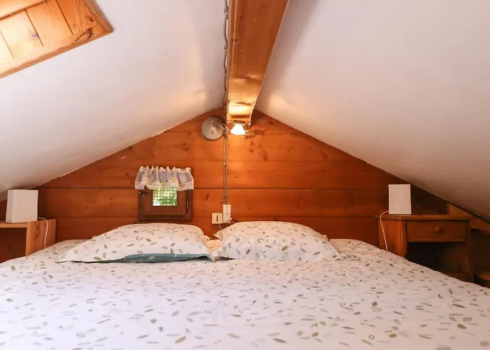 Chalet Le Du Petit Ours Chamonix Mont Blanc