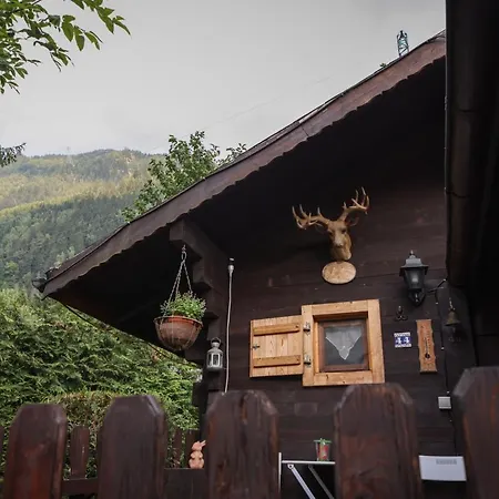 Le Du Petit Ours Chalet *